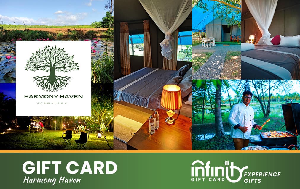 Harmony Haven Experience